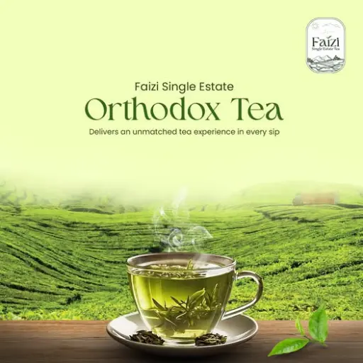 Wonder World Digital