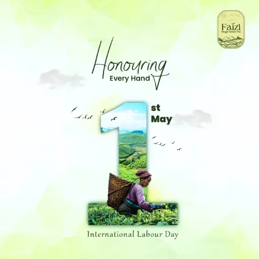 Wonder World Digital